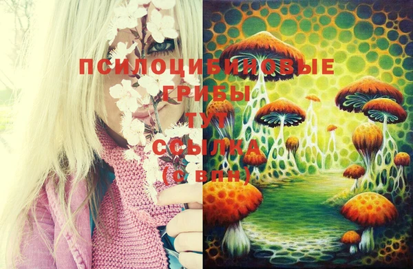 дурь Балахна