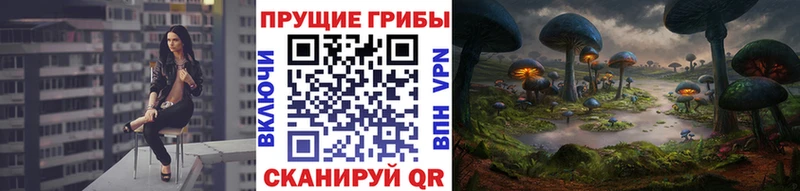 дарнет шоп  Вятские Поляны  гидра ССЫЛКА  Псилоцибиновые грибы GOLDEN TEACHER 